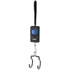 Image de Var Outil Portable Digital Scale Max 40kg