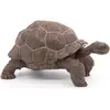 Image de Papo Tortue géante des Galápagos