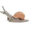 Image de Papo Escargot
