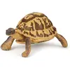 Image de Papo La tortue de Hermann
