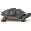 Image de Magni papo Figurine de jeu Tortue de Floride
