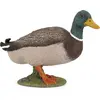Image de Papo Canard colvert