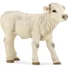 Image de Papo Veau charolais