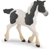 Image de Papo Cob poulain noir
