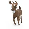 Image de Papo Cerf de Virginie