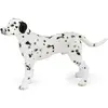 Image de Papo Dalmatien