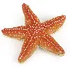 Image de Papo Étoile de mer