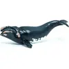 Image de Papo Baleine franche