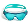 Image de Arena Masque De Natation The One