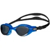 Image de Arena Lunettes De Natation Polarisées The One Plus