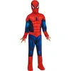 Image de Déguisement enfant Netflix Luxe Spider-Man Taille 3-4 ans