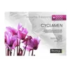 Image de Couette Biotex Cyclamen 260 x 240 cm Blanc