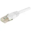 Image de Exertis Connect Dexlan Cat6 RJ45 UTP 1m Cat6 U/UTP (UTP) Blanc Câble réseau (U/UTP, CAT6, 1 m), Câble réseau
