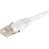 Image de Exertis Connect Dexlan RJ-45 Cat6 M/M 2m 2m Cat6 U/UTP (UTP) Blanc Câble réseau (U/UTP, CAT6, 2 m), Câble réseau