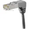 Image de Exertis Connect Câble patch S/FTP, Cat.6A, coudé des deux côtés, gris, 0,3 m les deux connecteurs coudés vers le bas (S/FTP, CAT6a, 0.30 m), Câble réseau
