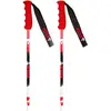 Image de Vola Bâtons Gs Carbon