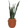 Image de Atmosphera, Plantes artificielles, 196696