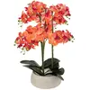 Image de Atmosphera, Plantes artificielles, Sztuczny kwiat w doniczce, storczyk SANAE, 65 cm (65 cm)