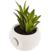 Image de Atmosphera, Plantes artificielles, Plante décorative (6 cm)