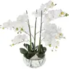 Image de Atmosphera, Plantes artificielles, 155640