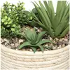 Image de Atmosphera, Plantes artificielles, Sztuczna ro lina doniczkowa 19 cm (19 cm)