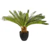 Image de Atmosphera, Plantes artificielles, Drzewko palmowe w doniczce 68 cm (68 cm)