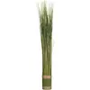 Image de Atmosphera, Plantes artificielles, 103095