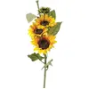 Image de Atmosphera, Plantes artificielles, 110350