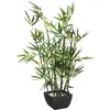 Image de Atmosphera, Plantes artificielles, 109591