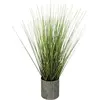 Image de Atmosphera, Plantes artificielles, Artificial grass in pot 160035 (45 cm)