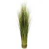 Image de Atmosphera, Plantes artificielles, 160077