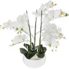 Image de Atmosphera, Plantes artificielles, 155640B (65 cm)