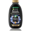 Image de Garnier, Shampoing, Botanic Therapy Magnetic Charcoal Cleansing Shampoo ( Shampooing équilibrant) - Volume : 400 ml (Shampoing liquide, 400 ml)