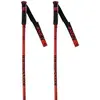 Image de Rossignol Bâtons Hero Gs-sg