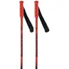Image de Rossignol Bâtons Junior Hero Gs