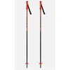 Image de Rossignol, Bâtons de ski