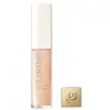 Image de LANCÔME Teint Idole Ultra Wear Skin-Glow Concealer