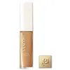 Image de LANCÔME Teint Idole Ultra Wear Skin-Glow Concealer