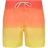 Image de Quiksilver, Hommes, Short de bain, All Day Fade 16 Shorts, Multicolore, (S)
