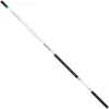 Image de Daiwa Canne Coup Team