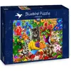 Image de Bluebird 70183 Puzzle 1000 pcs. Kitten Fun (1000 pièces)