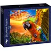 Image de Bluebird Puzzle 1000 pièces Parrot (1000 pièces)