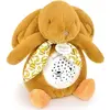 Image de Doudou et Compagnie, Veilleuse, Veilleuse étoiles & musique, lapin ocre 19cm
