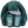 Image de Doudou et Compagnie Fleurette Hase eukalyptus 35cm (35 cm)