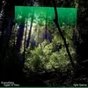 Image de Everything Again Is New