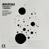 Image de Symphonie N° 1 Quantique