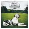Image de Fatals Picards Country Club Vinyle Vert