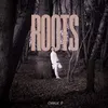 Image de Roots vinyle