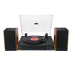Image de Platine vinyle Halterrego Chicago