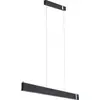 Image de Paulmann, Suspension, Jagun (2800 lm)